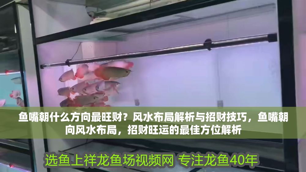 魚嘴朝什么方向最旺財？風(fēng)水布局解析與招財技巧，魚嘴朝向風(fēng)水布局，招財旺運的最佳方位解析