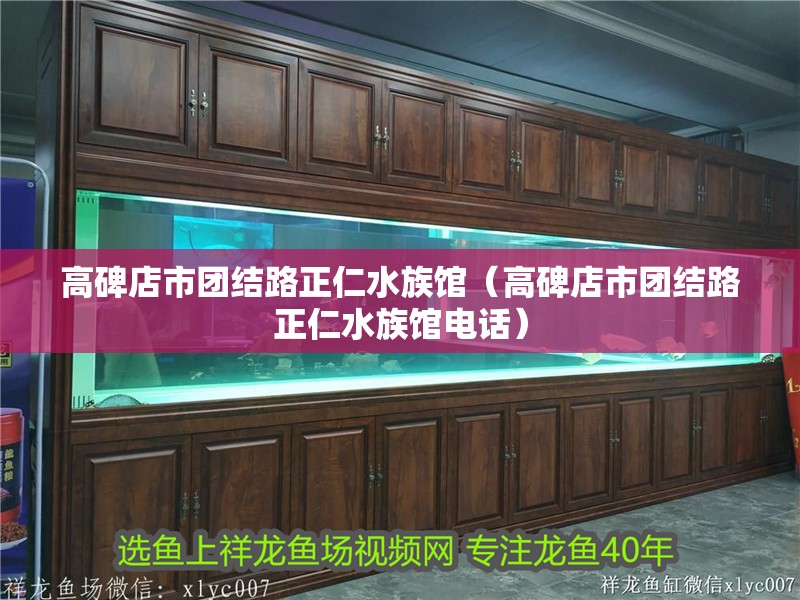 高碑店市團結路正仁水族館（高碑店市團結路正仁水族館電話）