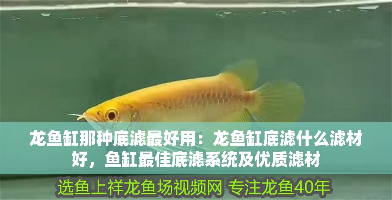 龍魚缸那種底濾最好用：龍魚缸底濾什么濾材好，魚缸最佳底濾系統(tǒng)及優(yōu)質(zhì)濾材