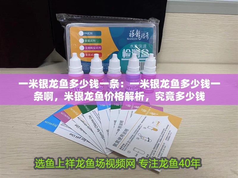 一米銀龍魚多少錢一條：一米銀龍魚多少錢一條啊，米銀龍魚價格解析，究竟多少錢