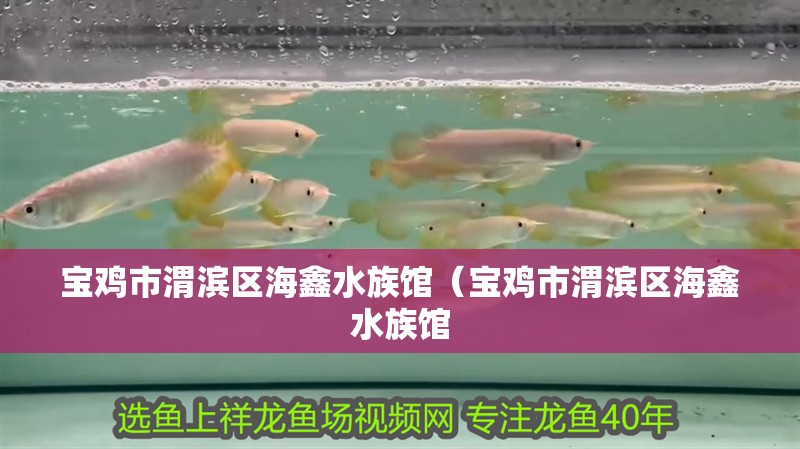 寶雞市渭濱區海鑫水族館（寶雞市渭濱區海鑫水族館