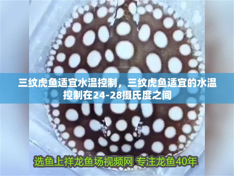 三紋虎魚適宜水溫控制，三紋虎魚適宜的水溫控制在24-28攝氏度之間