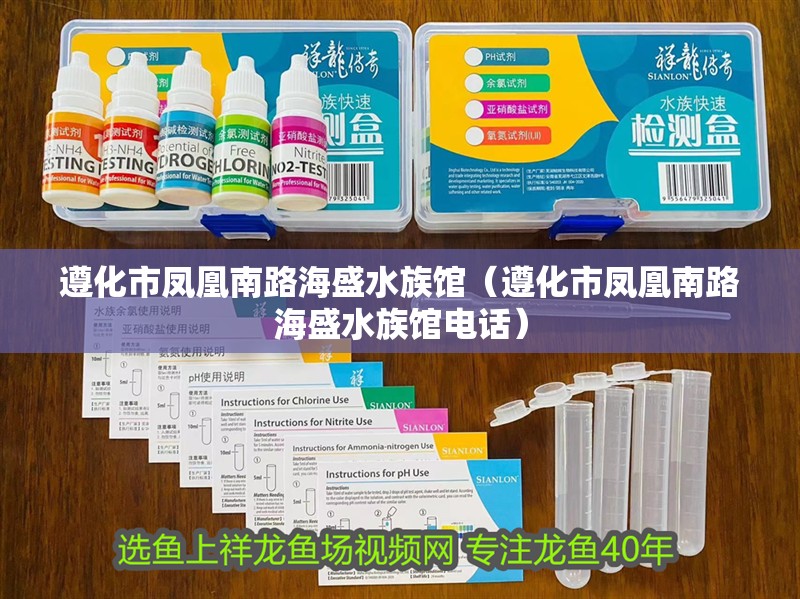 遵化市鳳凰南路海盛水族館(遵化市鳳凰南路海盛水族館電話) 全國水族館企業(yè)名錄 第2張 遵化市鳳凰南路海盛水族館(遵化市鳳凰南路海盛水族館電話) 遵化市鳳凰南路海盛水族館(遵化市鳳凰南路海盛水族館電話) 全國水族館企業(yè)名錄 第2張