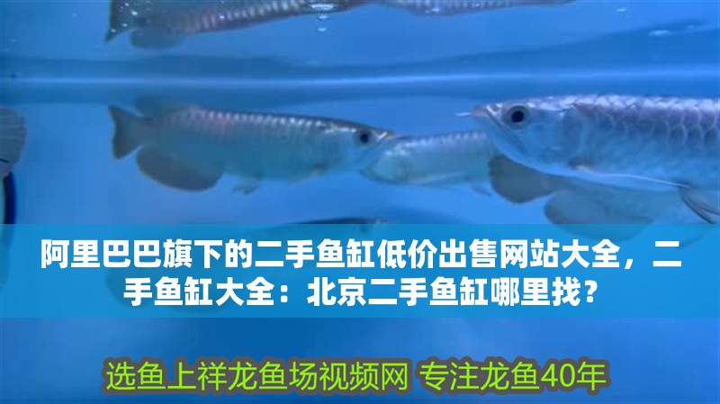 阿里巴巴旗下的二手魚缸低價出售網站大全，二手魚缸大全：北京二手魚缸哪里找？