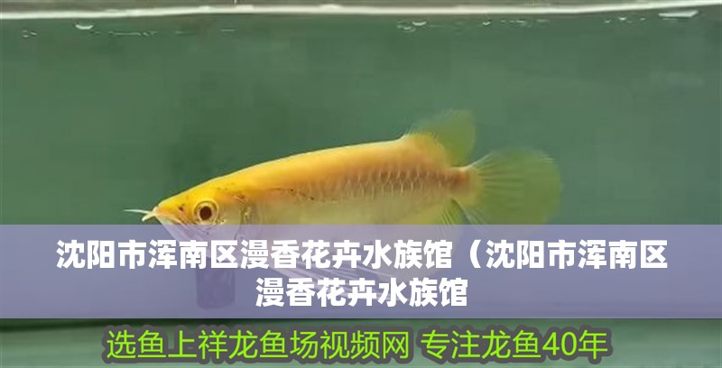沈陽市渾南區漫香花卉水族館（沈陽市渾南區漫香花卉水族館