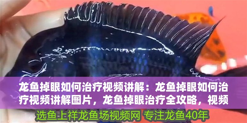 龍魚掉眼如何治療視頻講解：龍魚掉眼如何治療視頻講解圖片，龍魚掉眼治療全攻略，視頻+圖片詳細(xì)講解