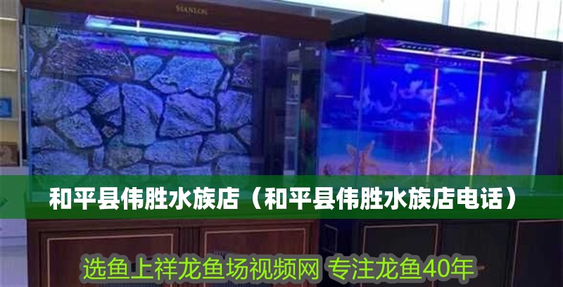 和平縣偉勝水族店（和平縣偉勝水族店電話） 和平縣偉勝水族店（和平縣偉勝水族店電話） 全國水族館企業名錄 第2張