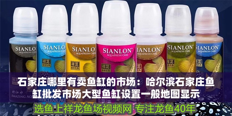 石家莊哪里有賣魚缸的市場：哈爾濱石家莊魚缸批發(fā)市場大型魚缸設置一般地圖顯示