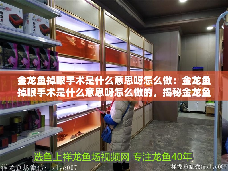 金龍魚掉眼手術是什么意思呀怎么做：金龍魚掉眼手術是什么意思呀怎么做的，揭秘金龍魚掉眼手術，含義與操作方法全解析