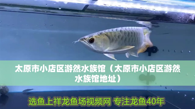 太原市小店區游然水族館（太原市小店區游然水族館地址） 太原市小店區游然水族館（太原市小店區游然水族館地址） 全國水族館企業名錄 第2張
