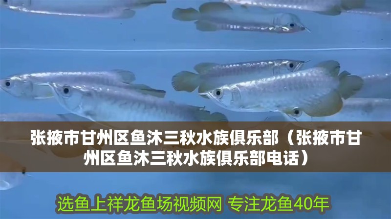 張掖市甘州區魚沐三秋水族俱樂部(張掖市甘州區魚沐三秋水族俱樂部電話) 全國水族館企業名錄 第2張 張掖市甘州區魚沐三秋水族俱樂部(張掖市甘州區魚沐三秋水族俱樂部電話) 張掖市甘州區魚沐三秋水族俱樂部(張掖市甘州區魚沐三秋水族俱樂部電話) 全國水族館企業名錄 第2張