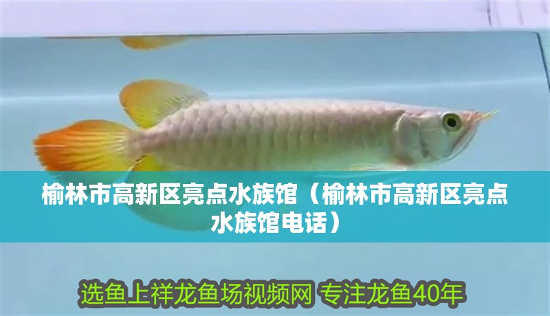 榆林市高新區亮點水族館（榆林市高新區亮點水族館電話）