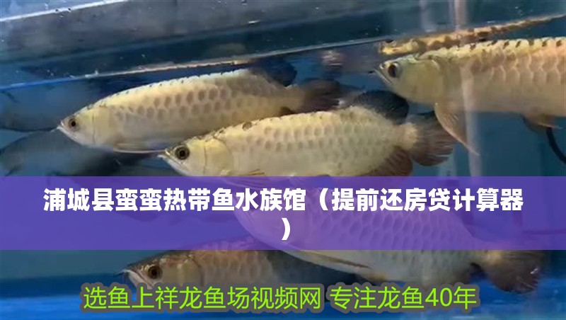 浦城縣蠻蠻熱帶魚水族館（提前還房貸計算器）