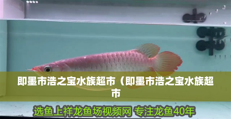 即墨市浩之寶水族超市(即墨市浩之寶水族超市 全國水族館企業(yè)名錄 第2張 即墨市浩之寶水族超市(即墨市浩之寶水族超市 即墨市浩之寶水族超市(即墨市浩之寶水族超市 全國水族館企業(yè)名錄 第2張