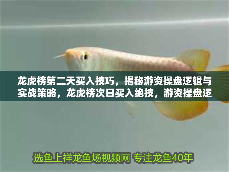 龍虎榜第二天買入技巧，揭秘游資操盤邏輯與實戰策略，龍虎榜次日買入絕技，游資操盤邏輯與實戰策略全解析