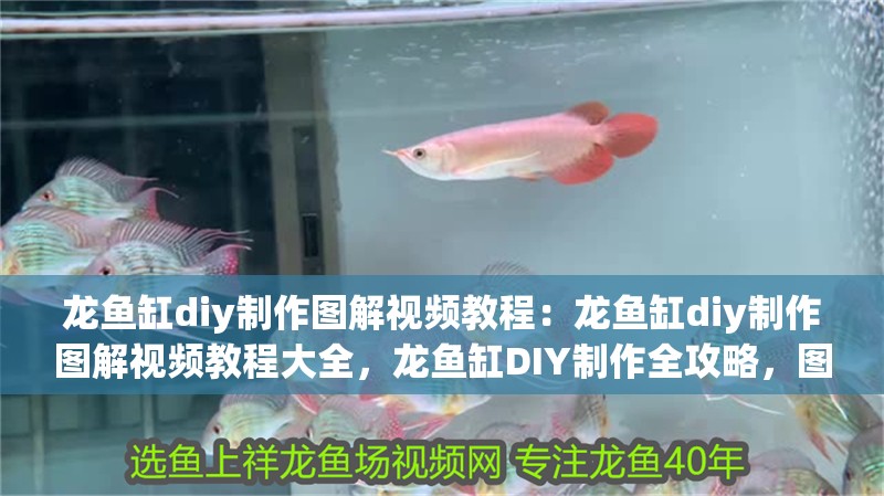 龍魚缸diy制作圖解視頻教程：龍魚缸diy制作圖解視頻教程大全，龍魚缸DIY制作全攻略，圖解