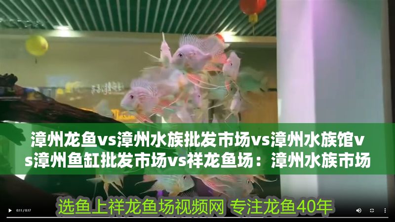 漳州龍魚vs漳州水族批發市場vs漳州水族館vs漳州魚缸批發市場vs祥龍魚場：漳州水族市場發展趨勢