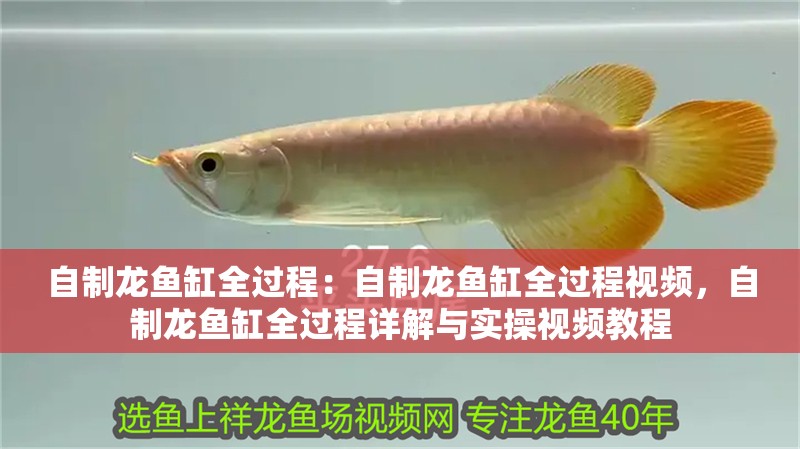 自制龍魚缸全過程：自制龍魚缸全過程視頻，自制龍魚缸全過程詳解與實操視頻教程