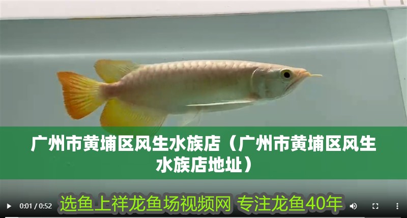 廣州市黃埔區風生水族店（廣州市黃埔區風生水族店地址）