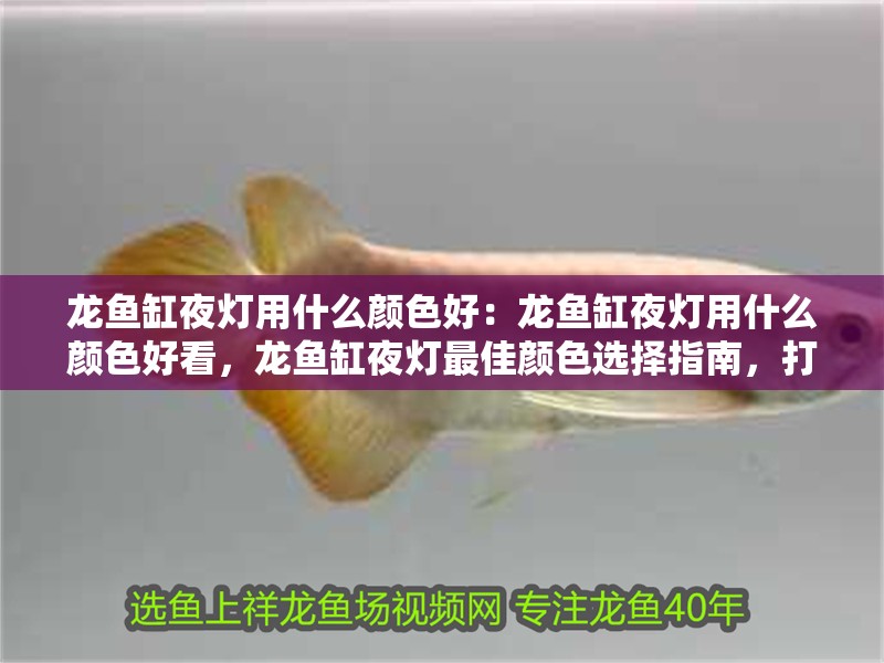 龍魚缸夜燈用什么顏色好：龍魚缸夜燈用什么顏色好看，龍魚缸夜燈最佳顏色選擇指南，打造夢幻水族景觀