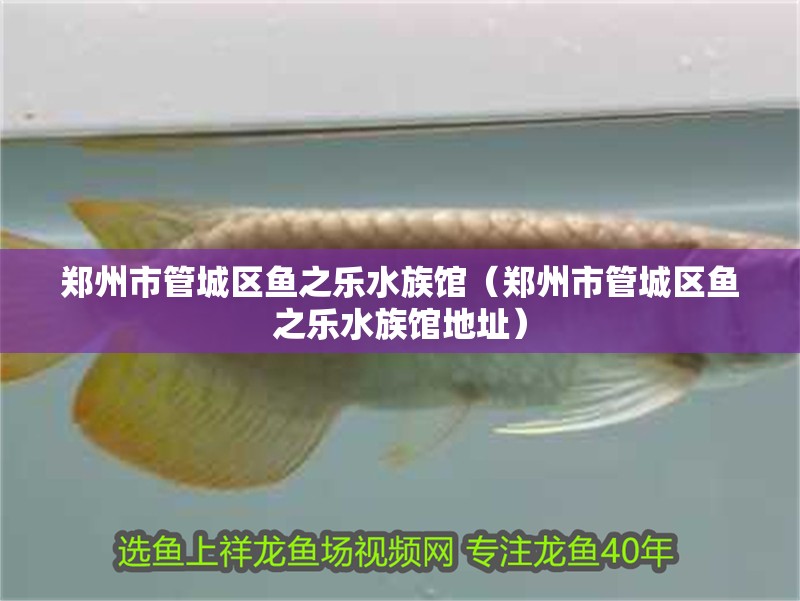 鄭州市管城區魚之樂水族館（鄭州市管城區魚之樂水族館地址）