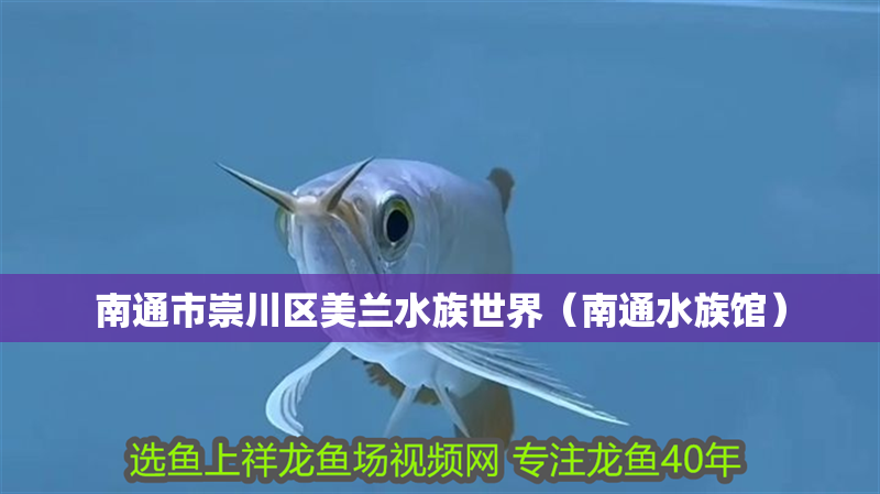 南通市崇川區美蘭水族世界（南通水族館）