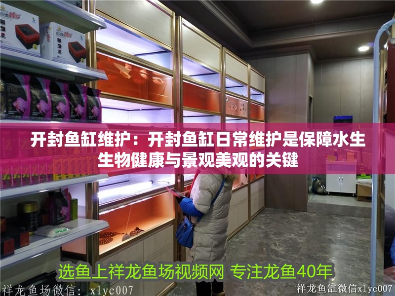 開封魚缸維護：開封魚缸日常維護是保障水生生物健康與景觀美觀的關鍵