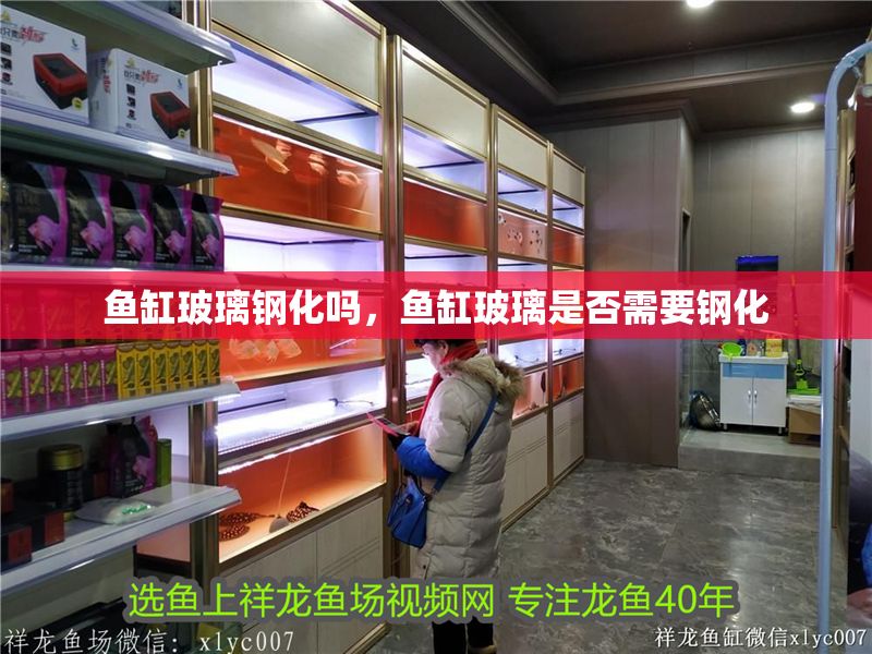 魚缸玻璃鋼化嗎，魚缸玻璃是否需要鋼化