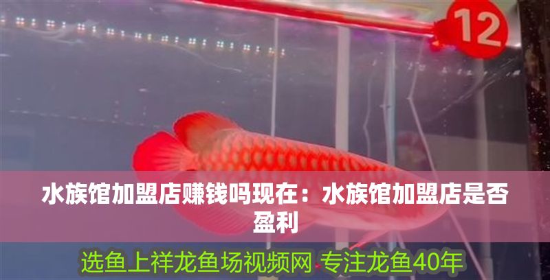 水族館加盟店賺錢嗎現在：水族館加盟店是否盈利