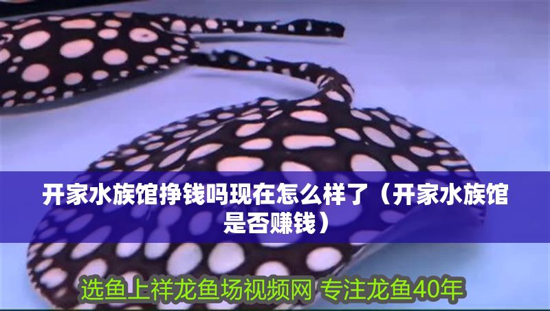 開家水族館掙錢嗎現在怎么樣了（開家水族館是否賺錢）