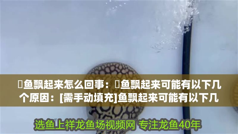 魟魚飄起來怎么回事：魟魚飄起來可能有以下幾個原因：[需手動填充]魚飄起來可能有以下幾個原因 魟魚飄起來怎么回事：魟魚飄起來可能有以下幾個原因：[需手動填充]魚飄起來可能有以下幾個原因 魟魚百科 第2張