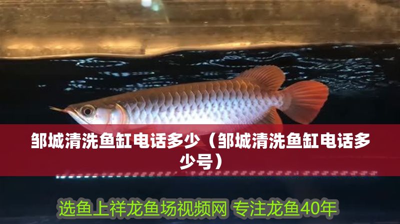 鄒城清洗魚缸電話多少（鄒城清洗魚缸電話多少號(hào)）