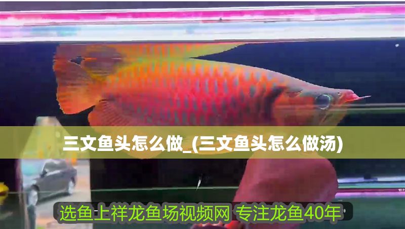 三文魚頭怎么做_(三文魚頭怎么做湯)