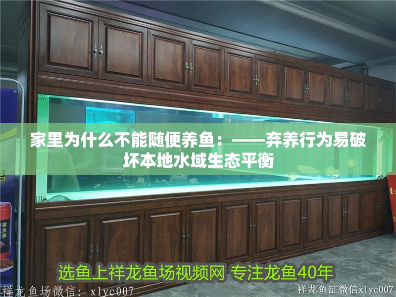 家里為什么不能隨便養魚：——棄養行為易破壞本地水域生態平衡