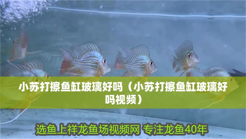 小蘇打擦魚缸玻璃好嗎（小蘇打擦魚缸玻璃好嗎視頻）