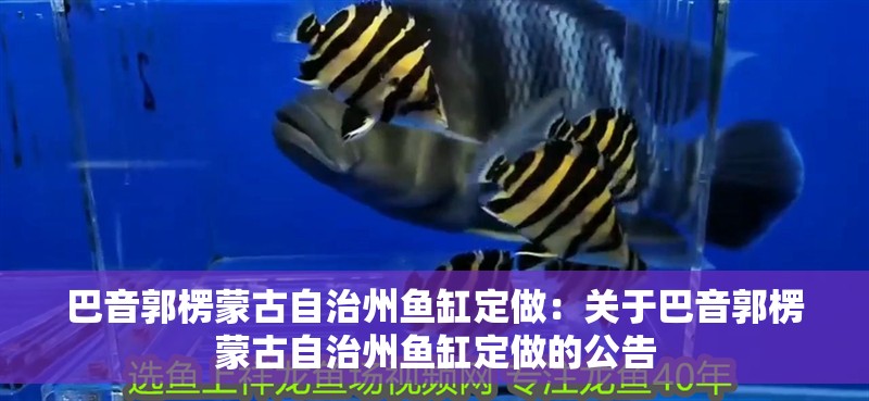 巴音郭楞蒙古自治州魚缸定做：關(guān)于巴音郭楞蒙古自治州魚缸定做的公告