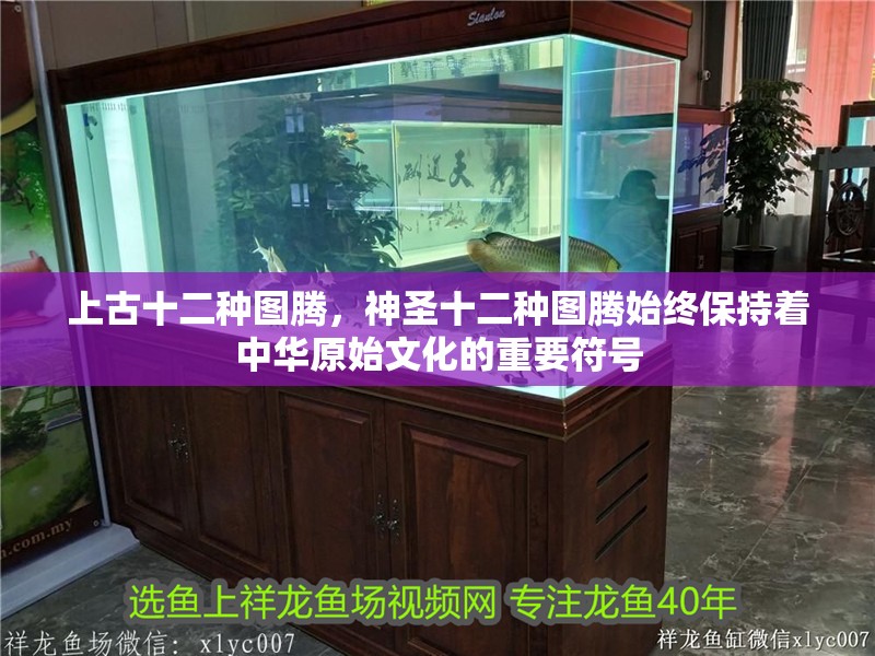 上古十二種圖騰，神圣十二種圖騰始終保持著中華原始文化的重要符號