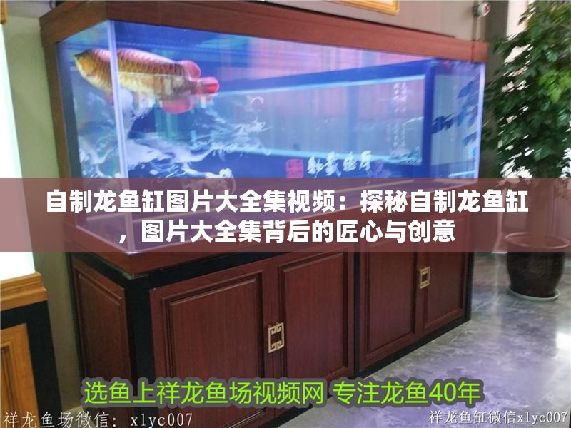 自制龍魚缸圖片大全集視頻：探秘自制龍魚缸，圖片大全集背后的匠心與創意