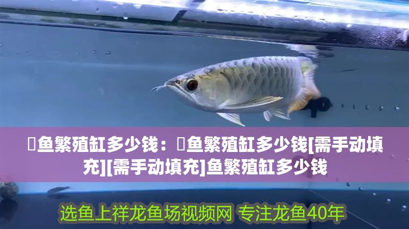 魟魚繁殖缸多少錢：魟魚繁殖缸多少錢[需手動填充][需手動填充]魚繁殖缸多少錢