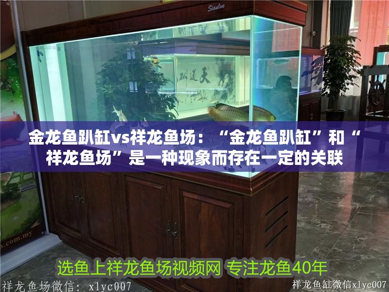金龍魚趴缸vs祥龍魚場：“金龍魚趴缸”和“祥龍魚場”是一種現象而存在一定的關聯