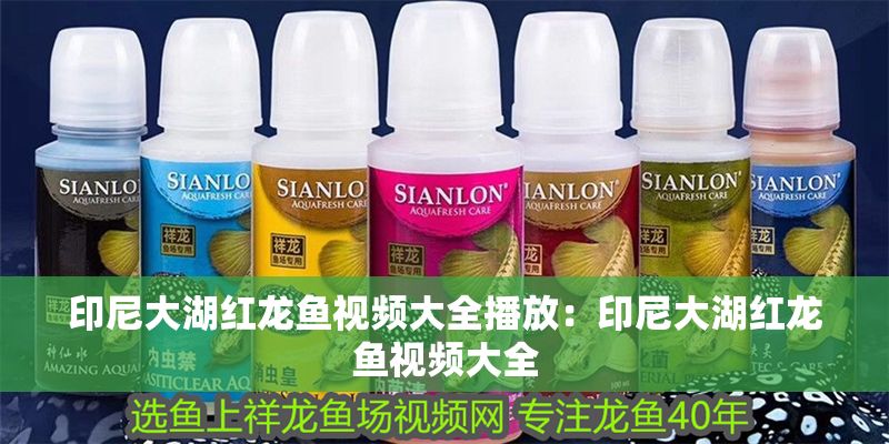 印尼大湖紅龍魚視頻大全播放：印尼大湖紅龍魚視頻大全