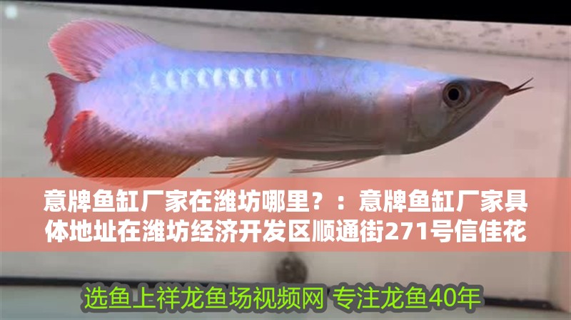 意牌魚缸廠家在濰坊哪里？：意牌魚缸廠家具體地址在濰坊經(jīng)濟(jì)開發(fā)區(qū)順通街271號(hào)信佳花園1號(hào)樓