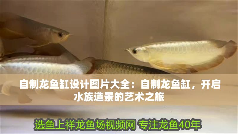 自制龍魚缸設計圖片大全：自制龍魚缸，開啟水族造景的藝術之旅