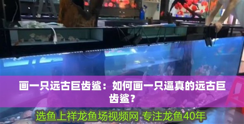 畫一只遠古巨齒鯊：如何畫一只逼真的遠古巨齒鯊？