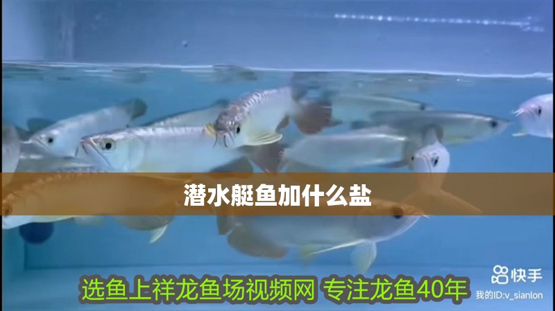 潛水艇魚加什么鹽