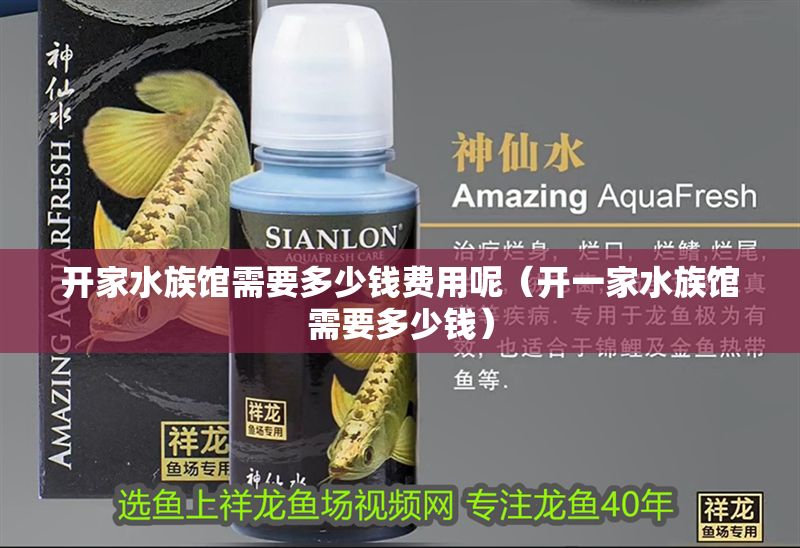 開家水族館需要多少錢費用呢（開一家水族館需要多少錢）