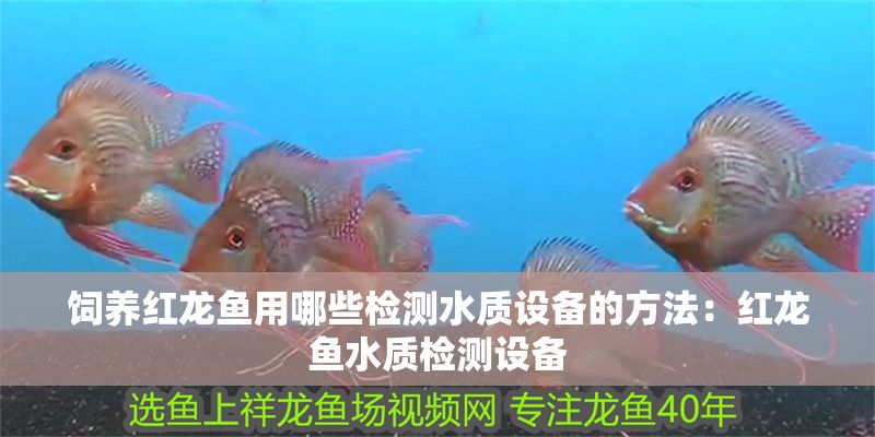 飼養(yǎng)紅龍魚用哪些檢測水質(zhì)設(shè)備的方法：紅龍魚水質(zhì)檢測設(shè)備