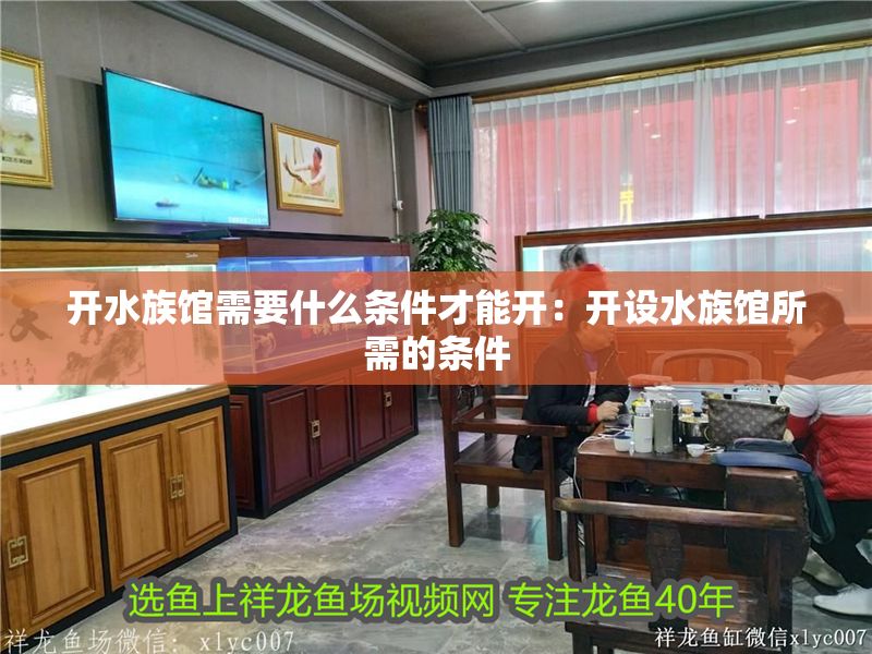 開水族館需要什么條件才能開：開設水族館所需的條件
