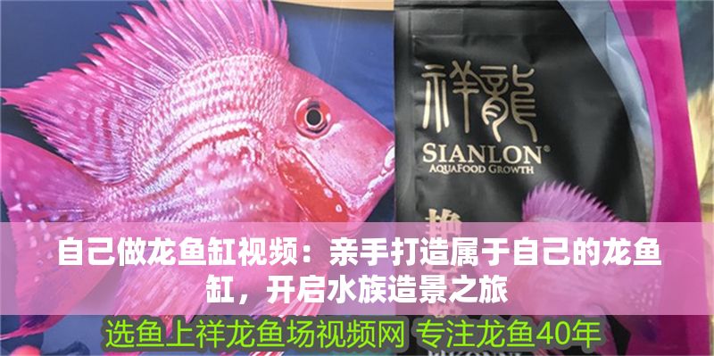 自己做龍魚缸視頻：親手打造屬于自己的龍魚缸，開啟水族造景之旅