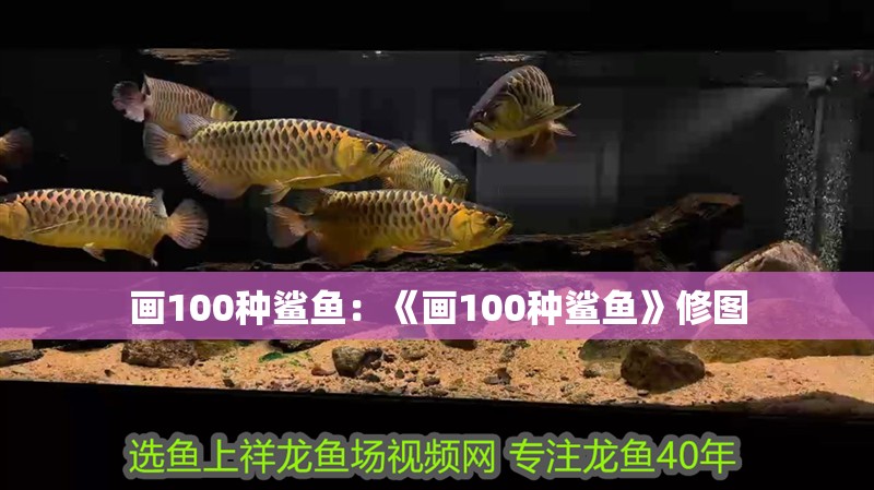 畫100種鯊魚：《畫100種鯊魚》修圖